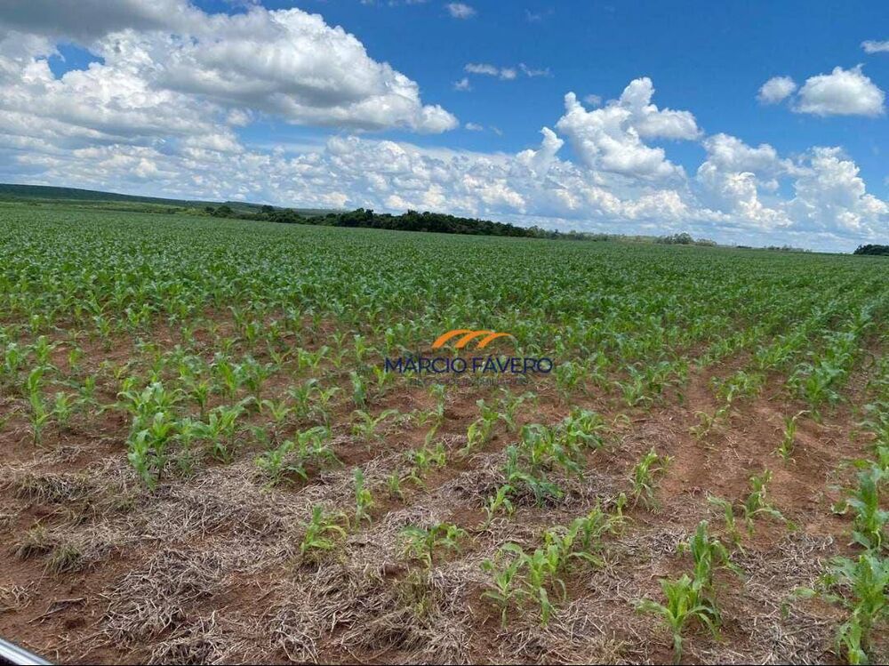 Fazenda à venda, 5808000M2 - Foto 12