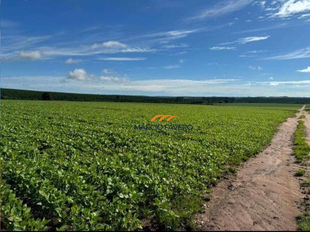 Fazenda à venda, 5808000M2 - Foto 23