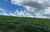 Fazenda, 581 hectares - Foto 8