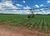 Fazenda, 581 hectares - Foto 1