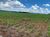 Fazenda, 581 hectares - Foto 12