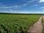 Fazenda, 581 hectares - Foto 23