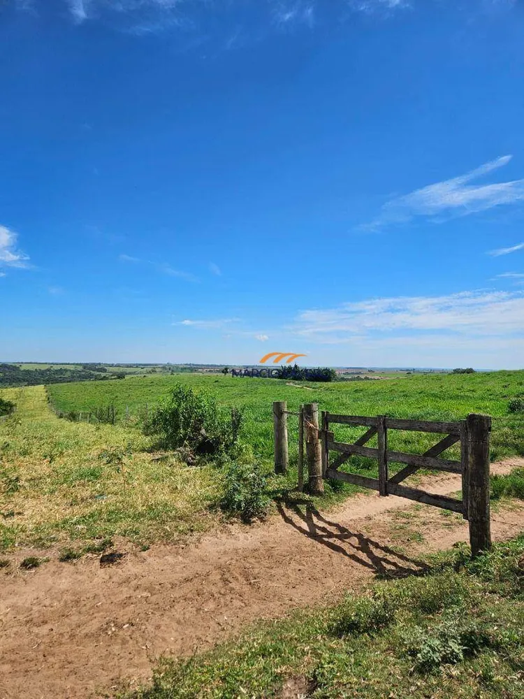 Fazenda, 508 hectares - Foto 3