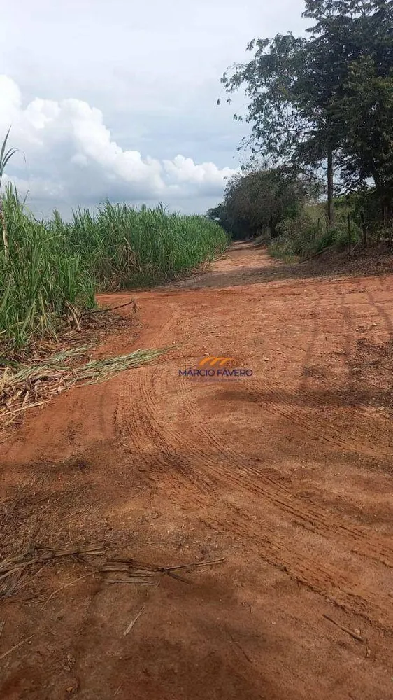 Fazenda, 213 hectares - Foto 3