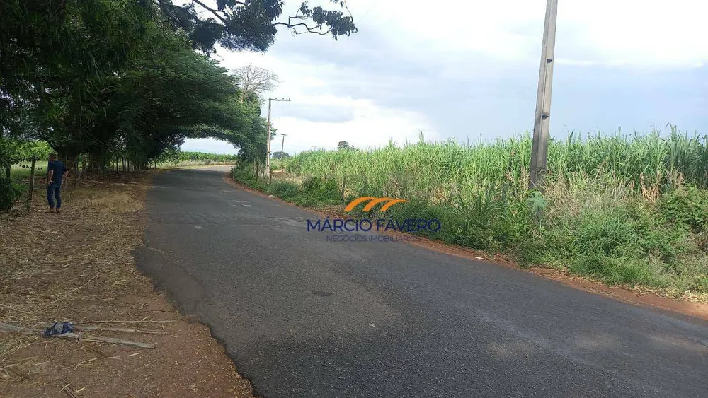 Fazenda, 213 hectares - Foto 4