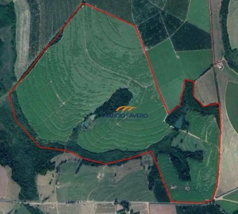 Fazenda, 213 hectares - Foto 9