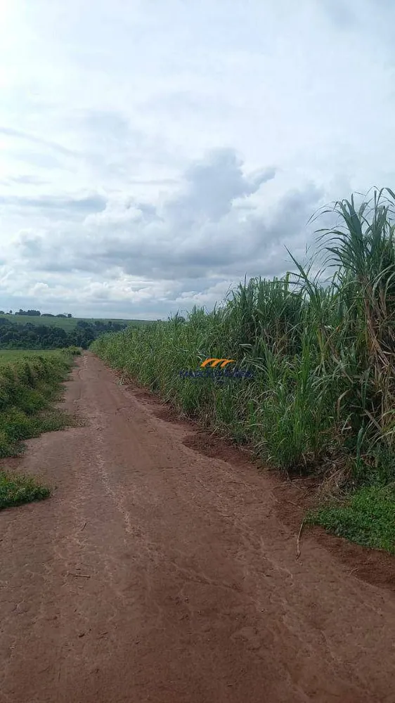 Fazenda, 213 hectares - Foto 10