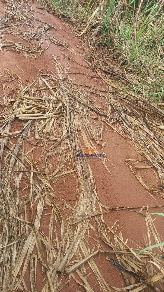 Fazenda, 213 hectares - Foto 1