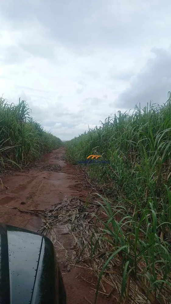 Fazenda, 213 hectares - Foto 2