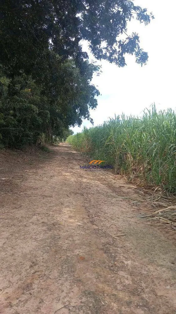 Fazenda, 213 hectares - Foto 5