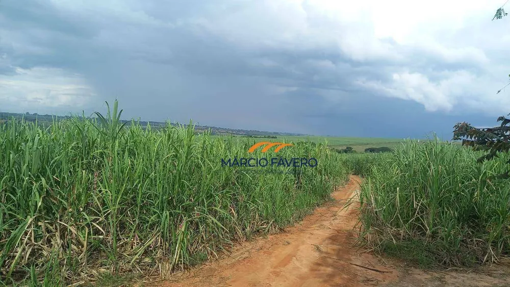 Fazenda, 213 hectares - Foto 6