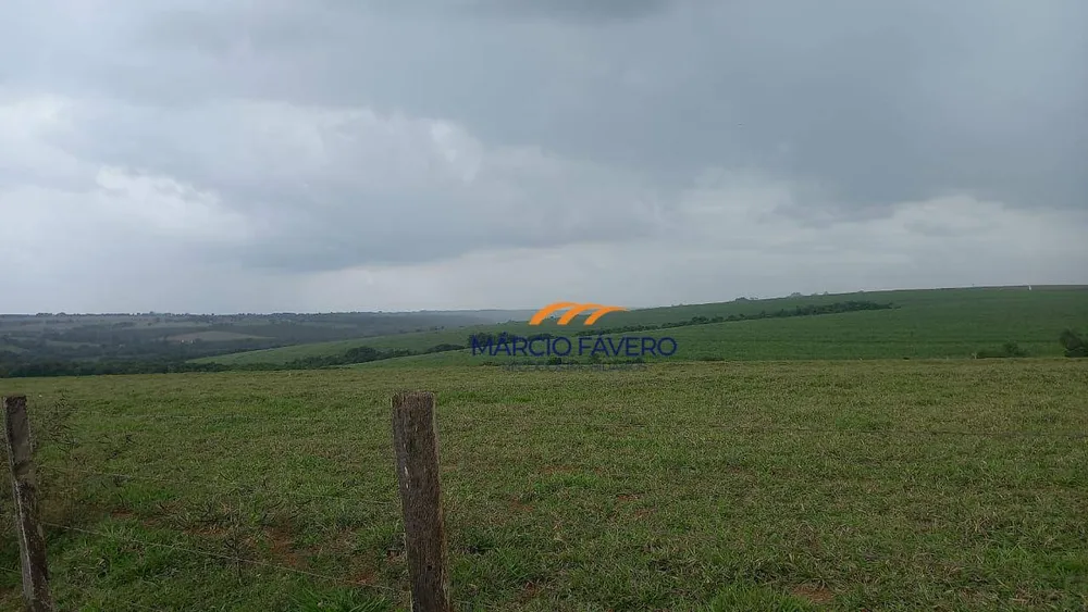 Fazenda, 213 hectares - Foto 8