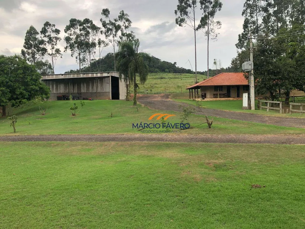 Sítio, 61 hectares - Foto 13