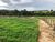 Sítio, 61 hectares - Foto 3