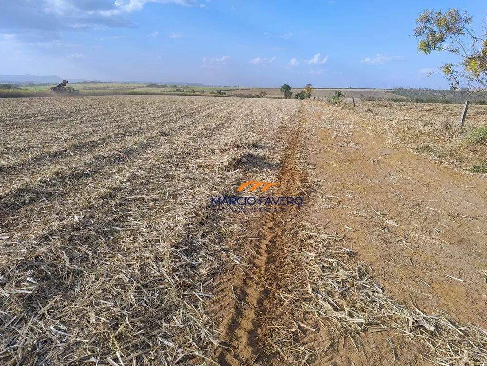 Fazenda, 692 hectares - Foto 6
