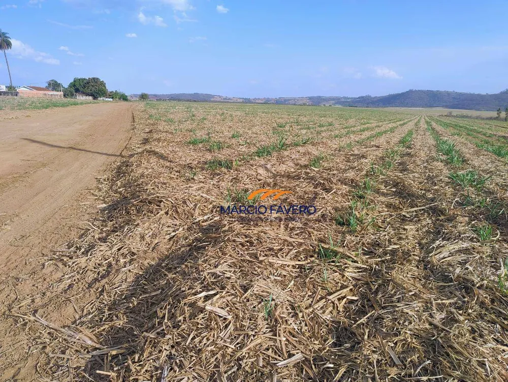 Fazenda, 692 hectares - Foto 7