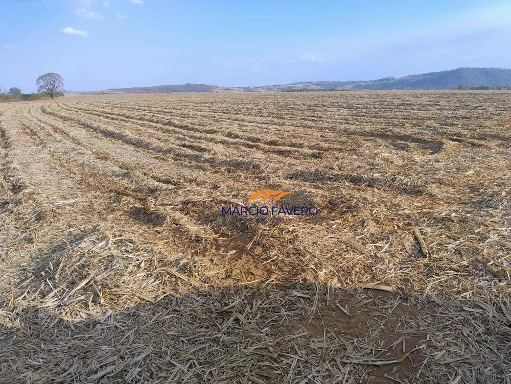 Fazenda, 692 hectares - Foto 9