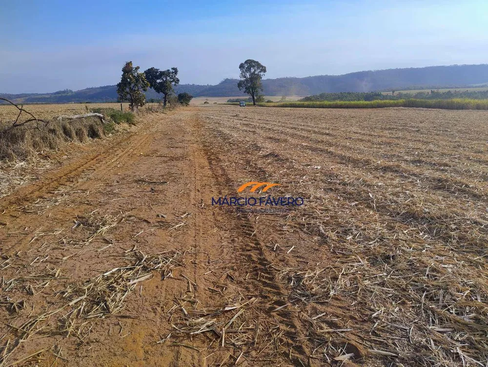 Fazenda, 692 hectares - Foto 4