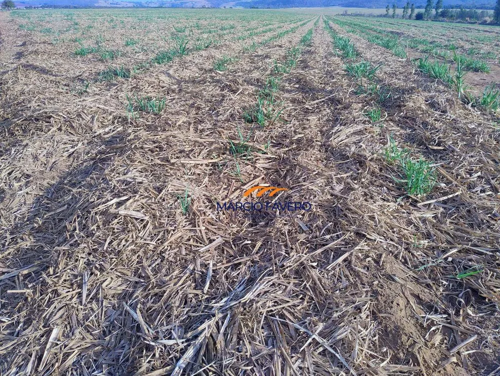 Fazenda, 692 hectares - Foto 11
