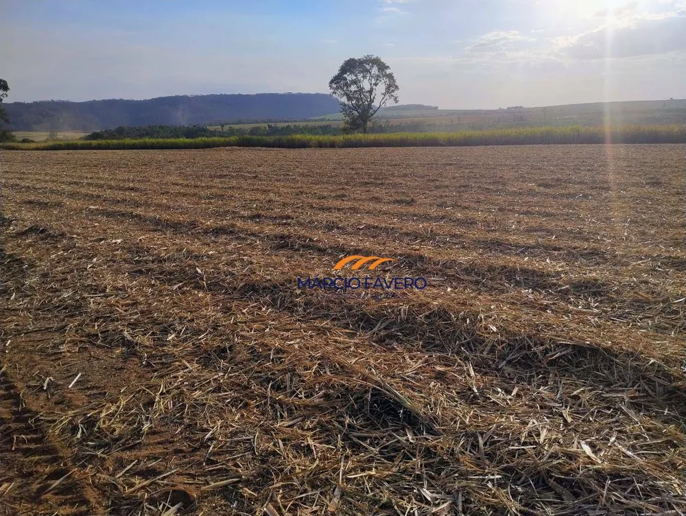 Fazenda, 692 hectares - Foto 6