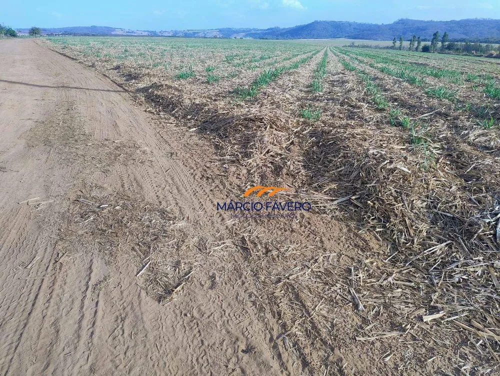Fazenda, 692 hectares - Foto 12