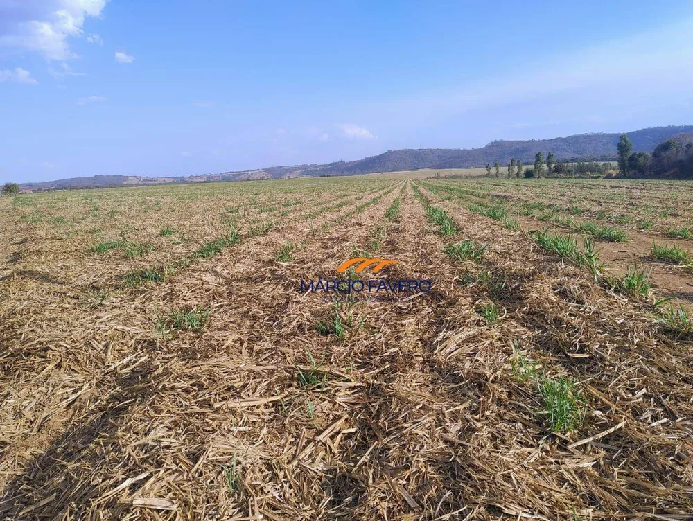 Fazenda, 692 hectares - Foto 3