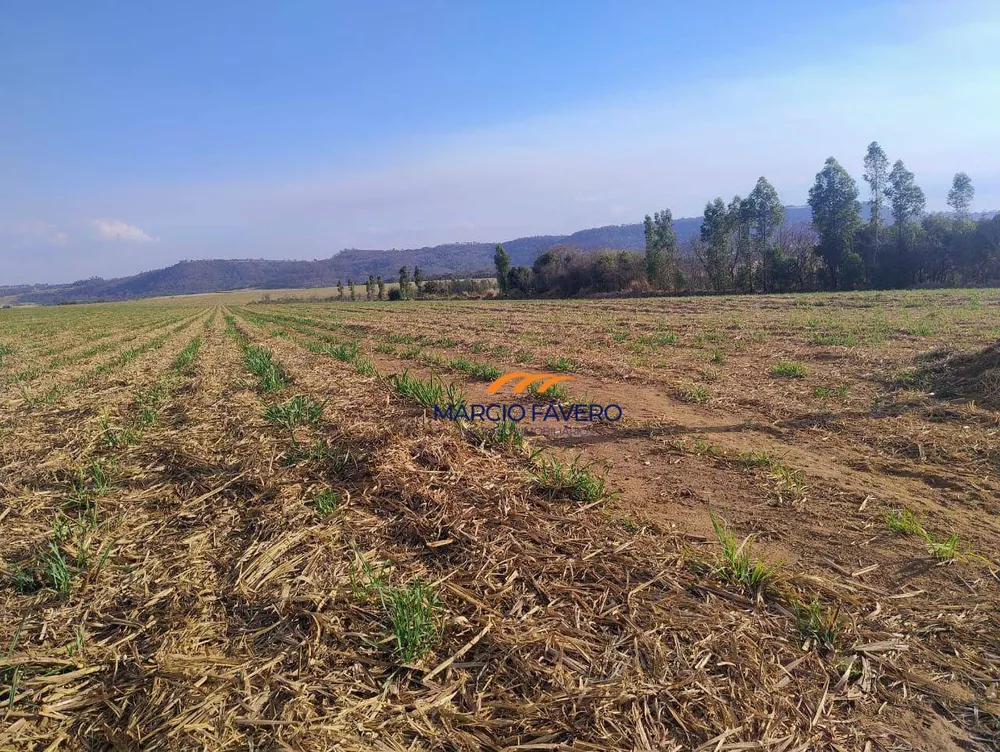 Fazenda, 692 hectares - Foto 2