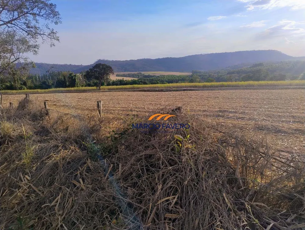 Fazenda, 692 hectares - Foto 10
