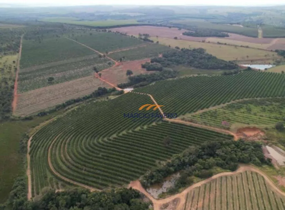 Fazenda, 411 hectares - Foto 2