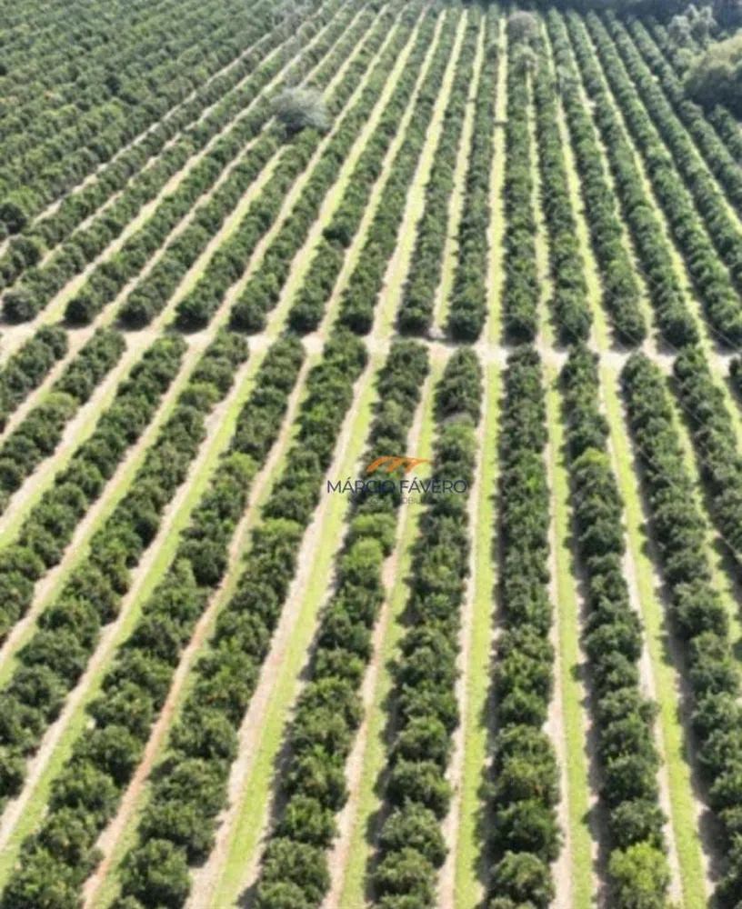 Fazenda, 411 hectares - Foto 3