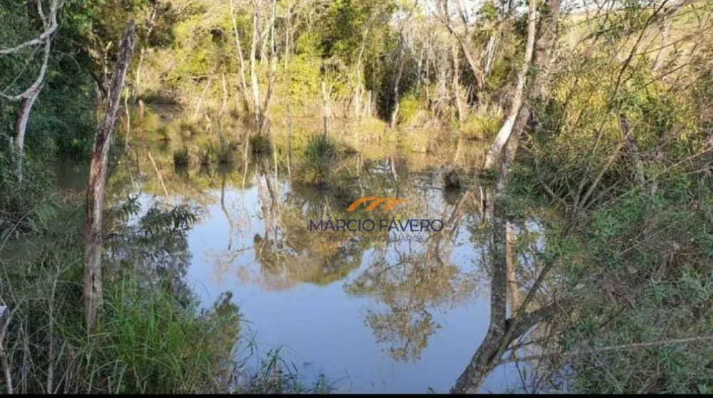 Fazenda, 411 hectares - Foto 7