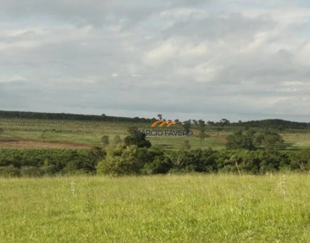 Fazenda, 411 hectares - Foto 4