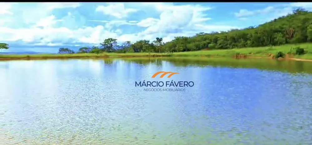 Fazenda, 980 hectares - Foto 14