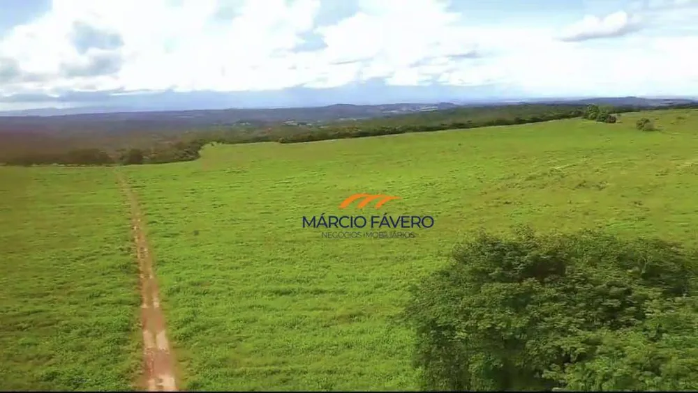Fazenda, 980 hectares - Foto 4