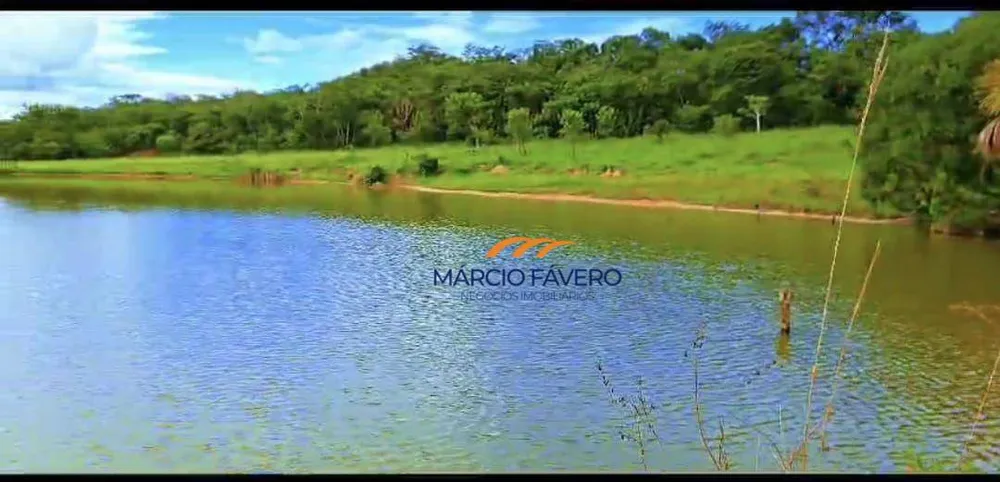 Fazenda, 980 hectares - Foto 3