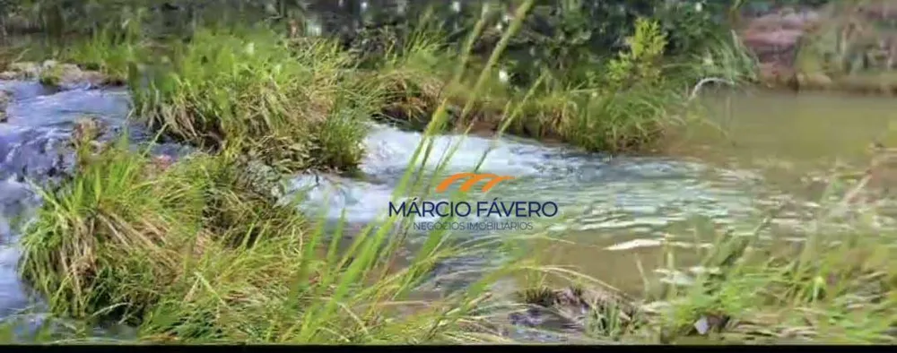Fazenda, 980 hectares - Foto 7