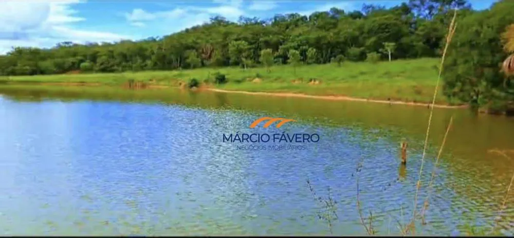 Fazenda, 980 hectares - Foto 12