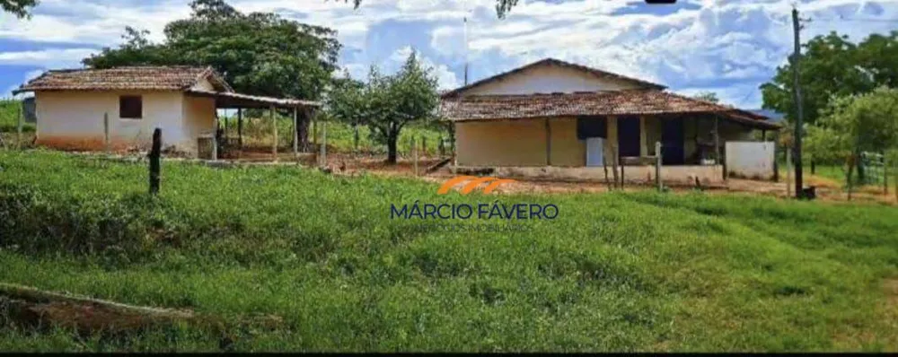 Fazenda, 980 hectares - Foto 13
