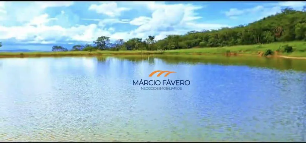 Fazenda, 980 hectares - Foto 1