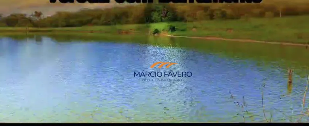 Fazenda, 980 hectares - Foto 2