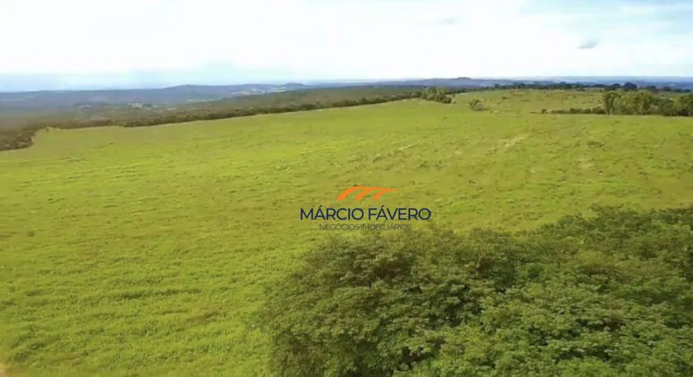 Fazenda, 980 hectares - Foto 9