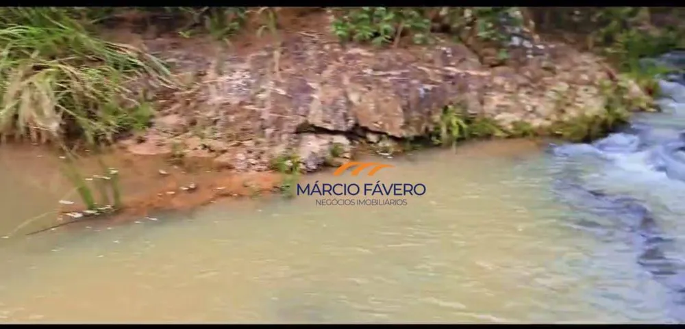 Fazenda, 980 hectares - Foto 10