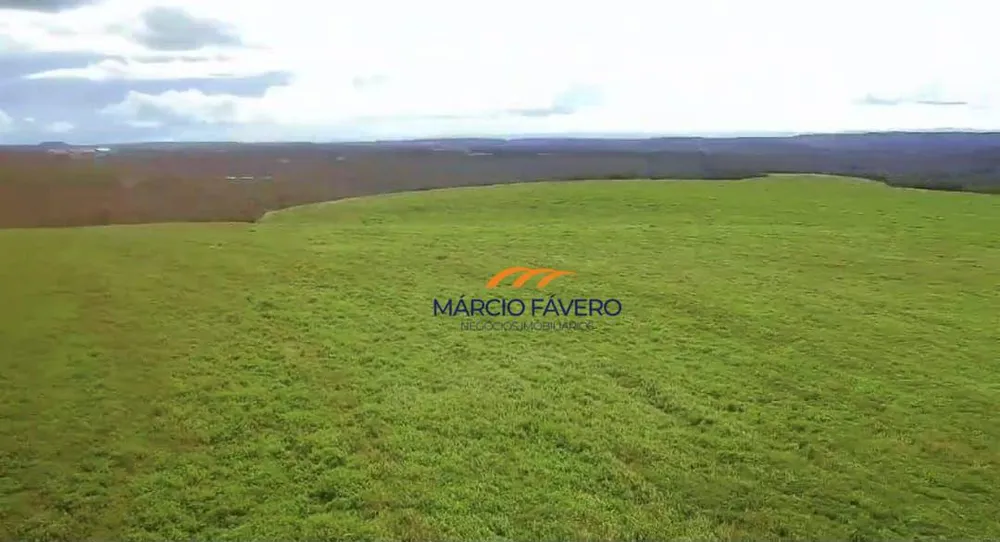 Fazenda, 980 hectares - Foto 6