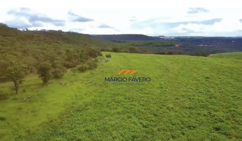 Fazenda, 980 hectares - Foto 8