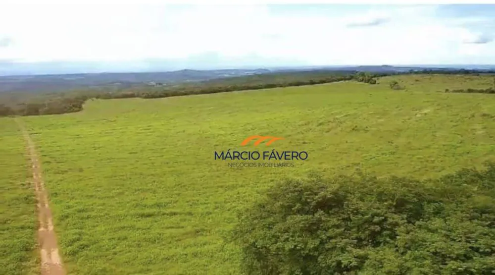 Fazenda, 980 hectares - Foto 15
