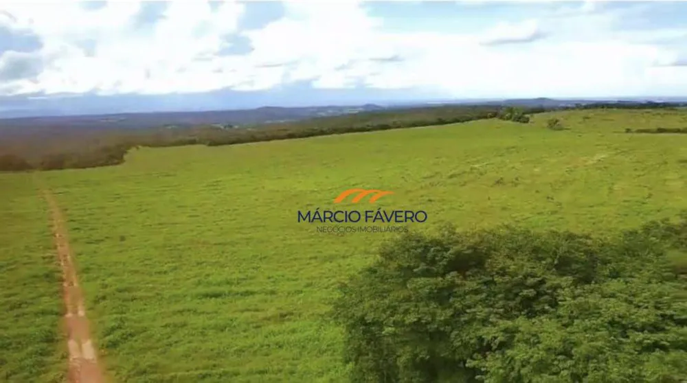 Fazenda, 980 hectares - Foto 11