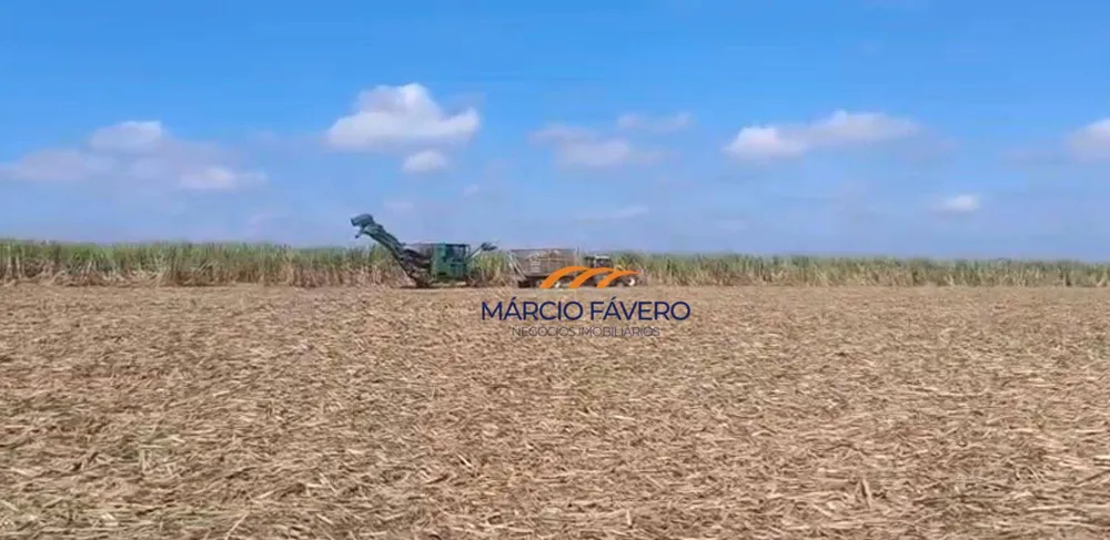 Fazenda, 198 hectares - Foto 3