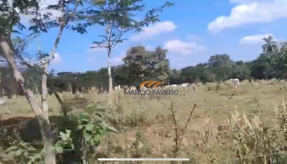 Fazenda, 198 hectares - Foto 7