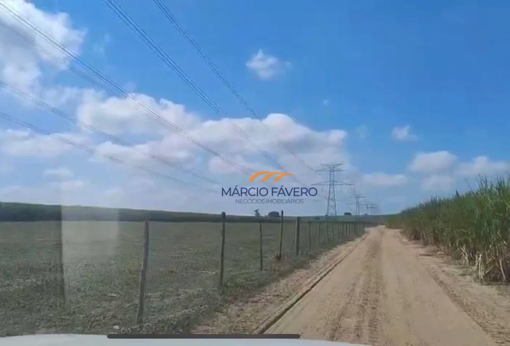 Fazenda, 198 hectares - Foto 6