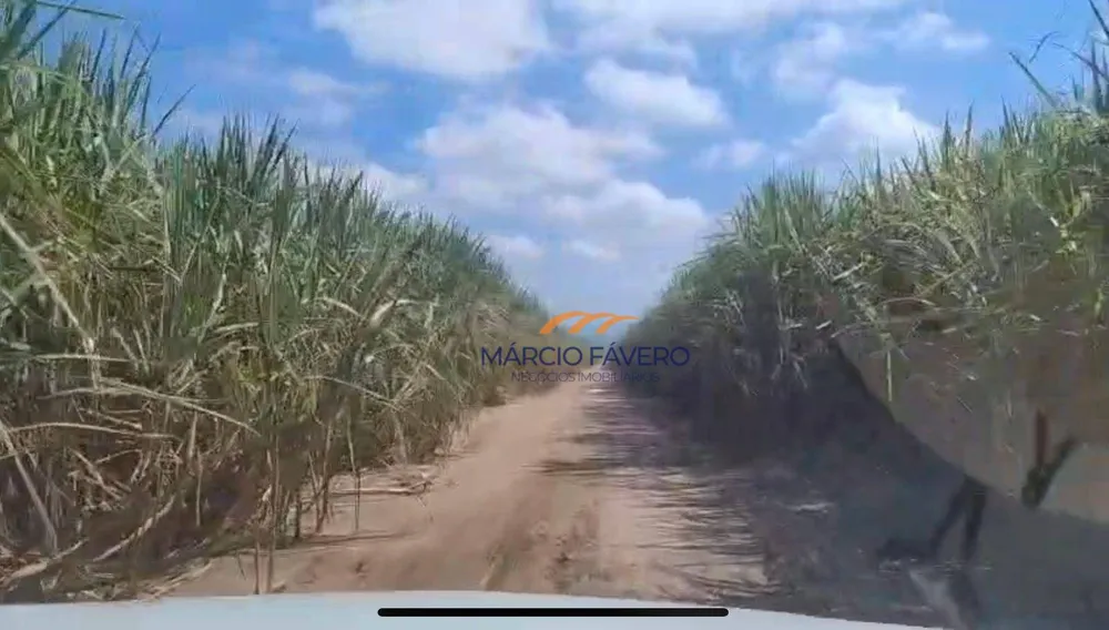 Fazenda, 198 hectares - Foto 4
